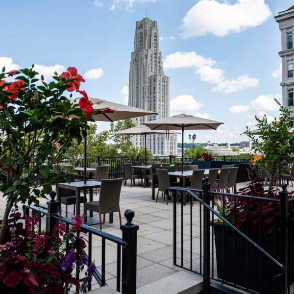 Rooftop terrace view of cathedral